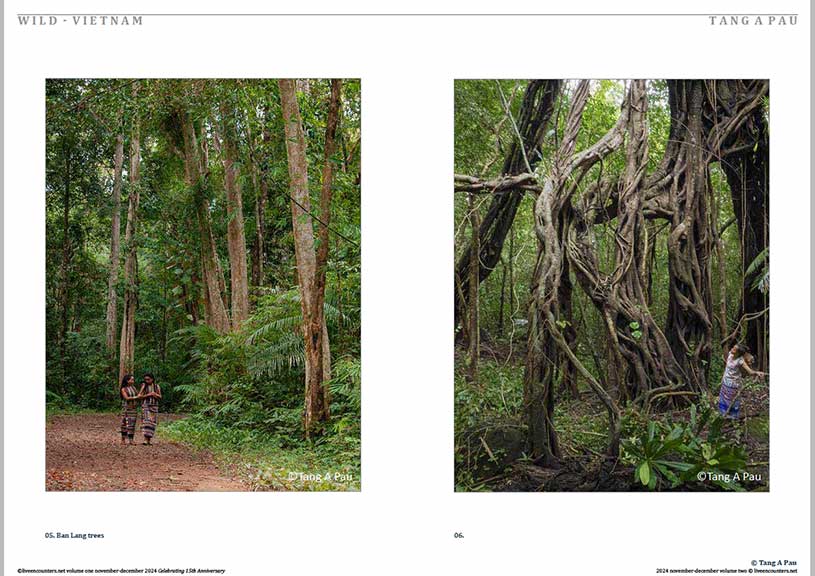 Pau 05 LE Mag Volume One Nov-Dec 2024