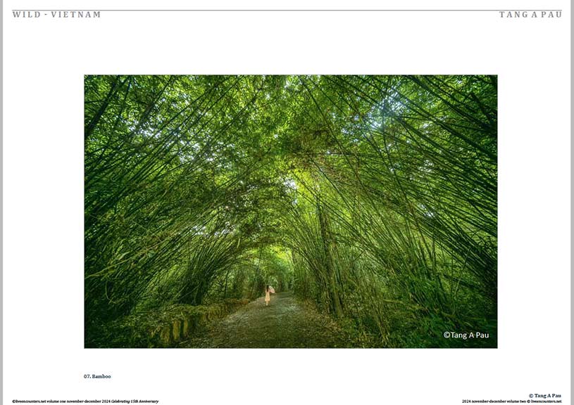 Pau 06 LE Mag Volume One Nov-Dec 2024