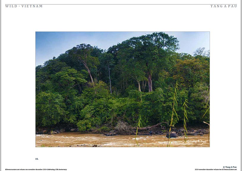 Pau 07 LE Mag Volume One Nov-Dec 2024