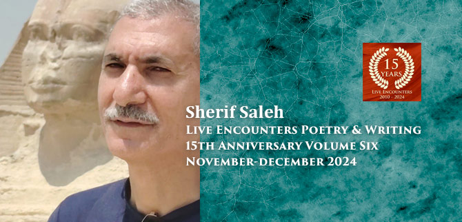 Saleh LE P&W Vol 6 Nov-Dec 2024