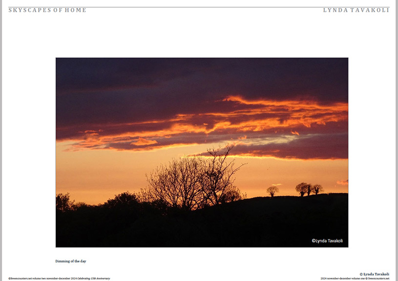 Tavakoli 04 LE Mag Volume Two Nov-Dec 2024