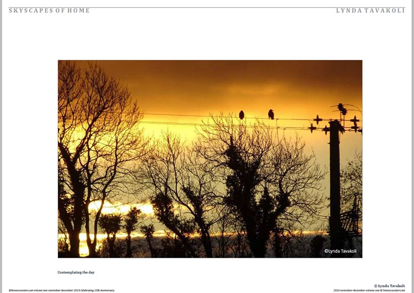 Tavakoli 06 LE Mag Volume Two Nov-Dec 2024