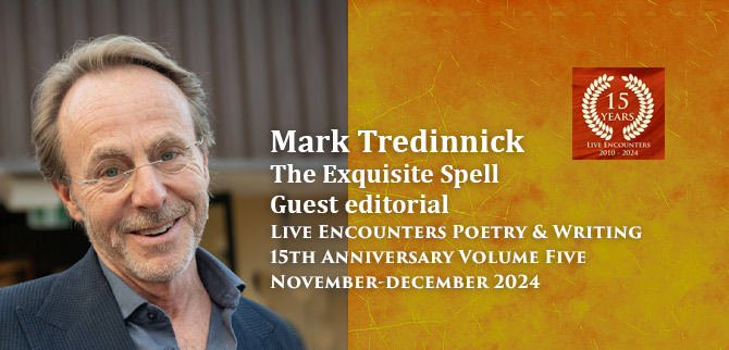 Terdinnick LE P&W 5 Nov-Dec 2024