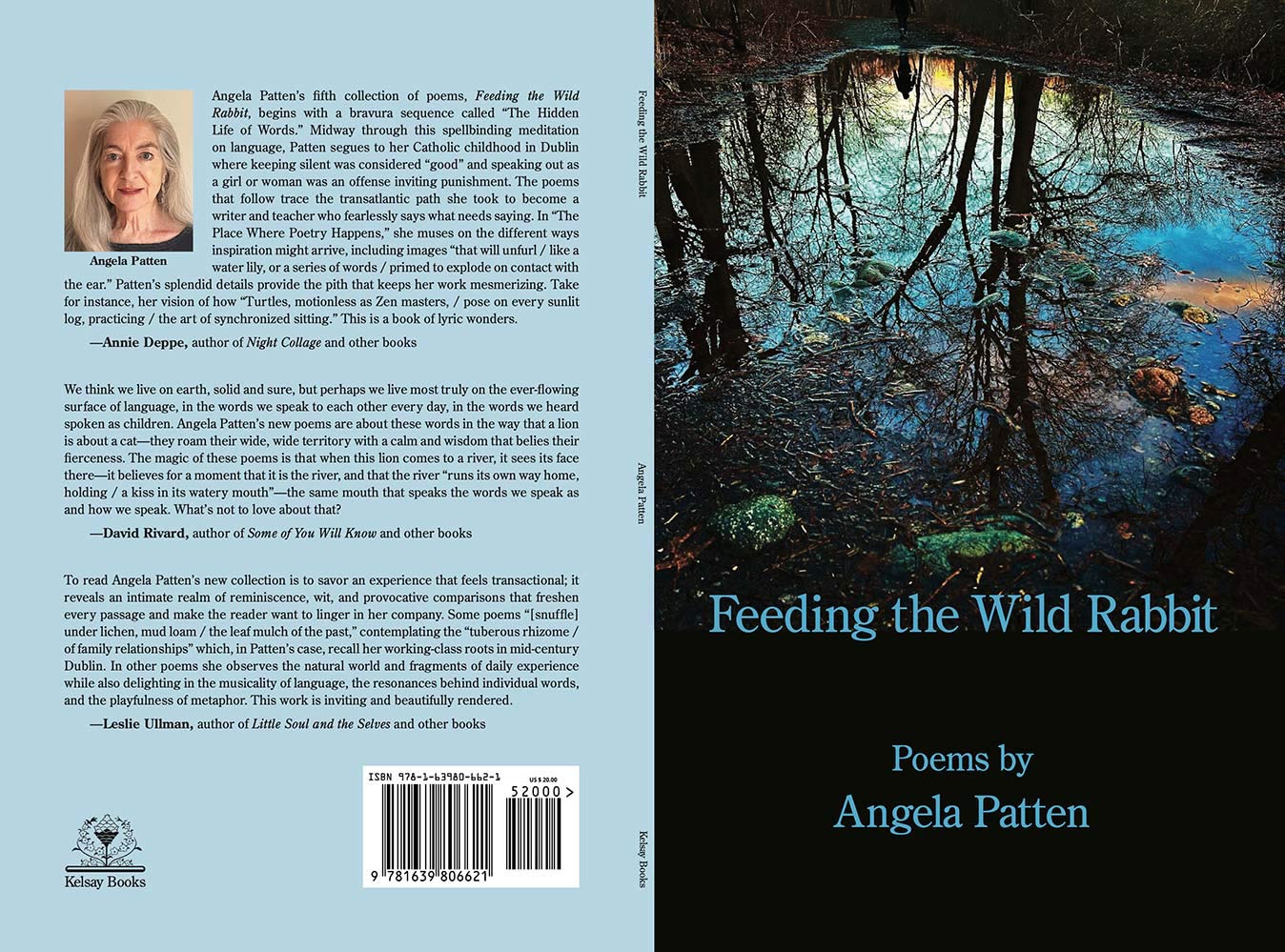 Feeding the Wild Rabbit