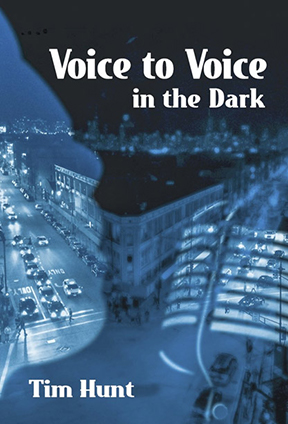 Voice to Voice by Tim Hunt