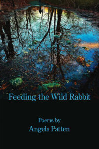 Feeding the wild rabbit by angela patten