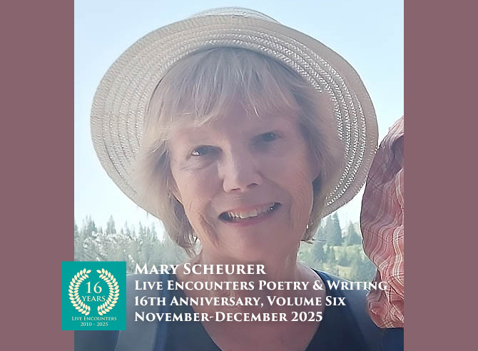 Scheurer LE P&W Vol 6 Nov-Dec 2025
