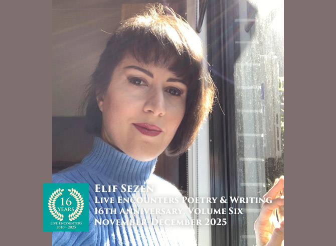 Sezen LE P&W Vol 6 Nov-Dec 2025