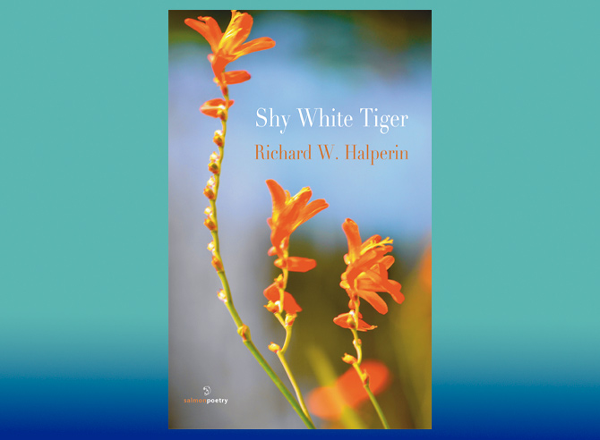 Shy White Tiger LE Books-Reviews Vol 8 Nov-Dec 2025