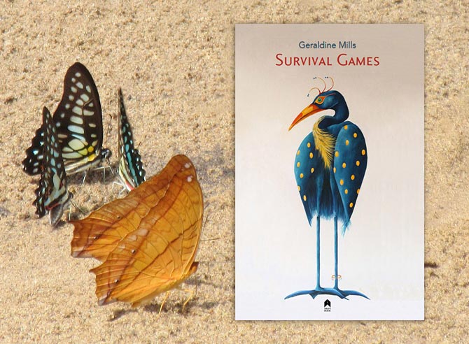 Survival Games by Geraldine Mills - Arlen House
